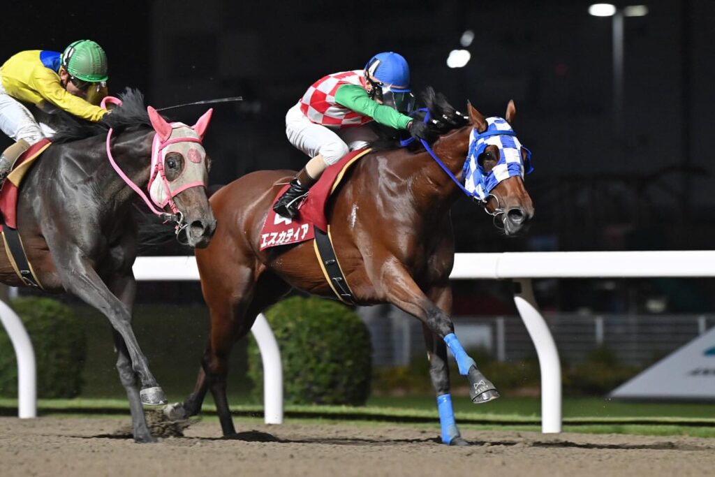 10月16日川崎競馬11R「サルビアカップ（ダート・左2000m）」を