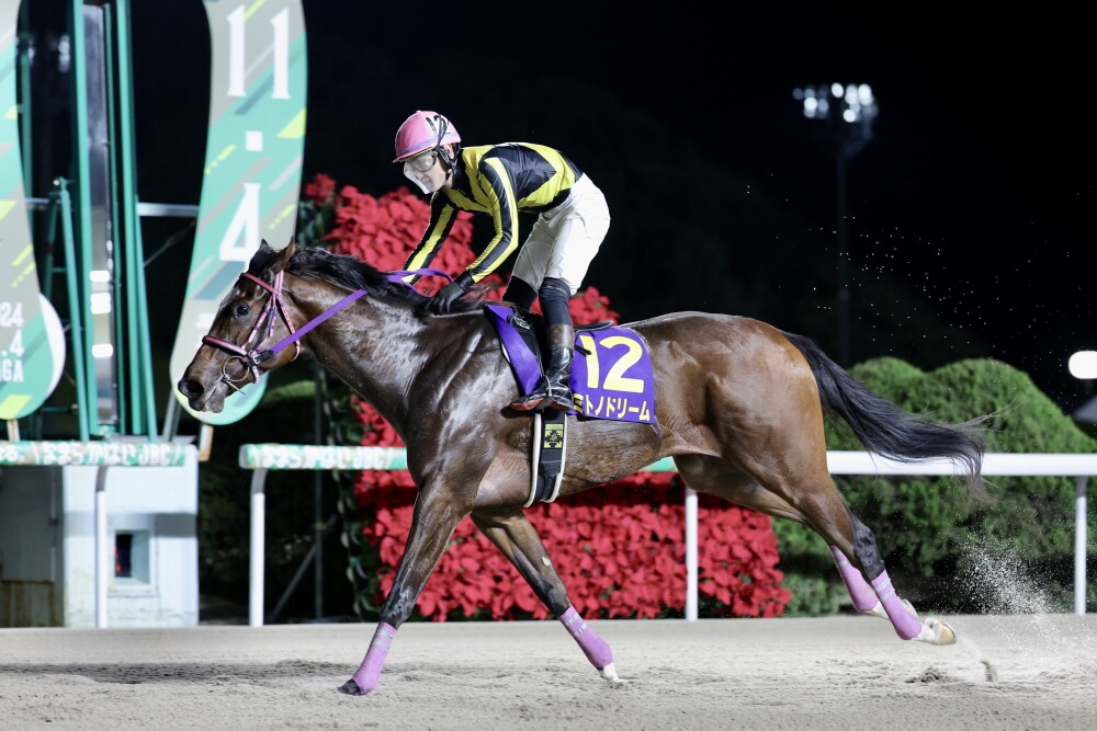 【佐賀競馬・ネクストスター佐賀】ミトノドリーム無傷の3連勝でV｜競馬ニュース｜競馬TOP