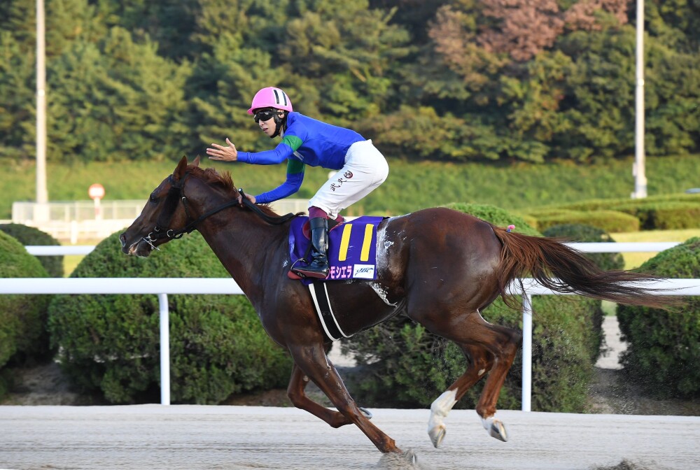 【佐賀競馬・JBCレディスクラシック】3歳アンモシエラが逃げて新女王｜競馬ニュース｜競馬TOP