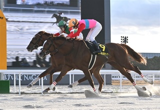競り合いを制したペイシャエス（手前）＝中日スポーツ提供