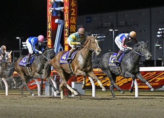 全日本2歳優駿を制したデルマソトガケ(中央)。右は2着のオマツリオトコ、左は3着のペリエール=東京新聞提供