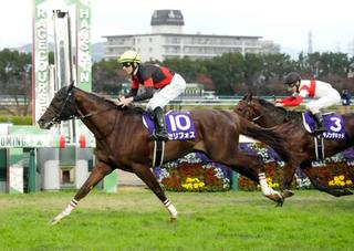 　第39回マイルチャンピオンシップを制したセリフォス（10）＝阪神競馬場