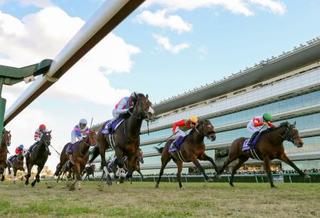 第74回朝日杯フューチュリティステークスを制したドルチェモア(前列右から3番目)=阪神競馬場