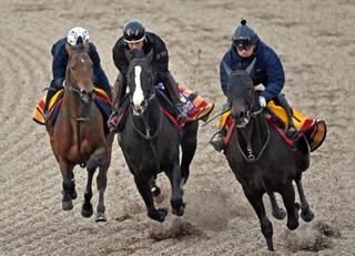 有馬記念の最終追い切りで調整するイクイノックス（中央）＝美浦トレーニングセンター