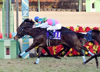 第39回ホープフルステークスを制したドゥラエレーデ（11）＝中山競馬場