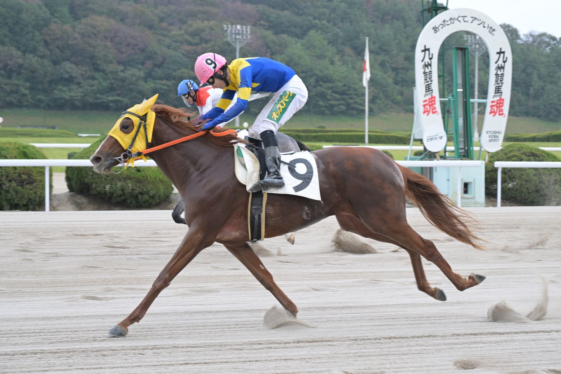 秋華賞、スタニングローズが優勝｜競馬ニュース｜競馬TOP｜西スポレースサイト