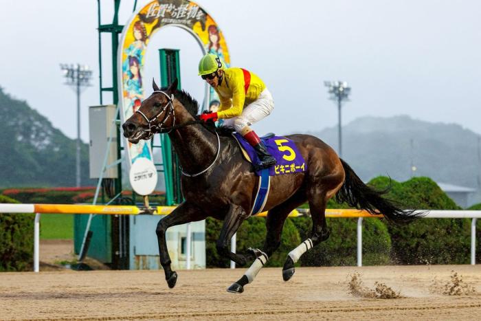競馬】イクイノックスを顕彰馬に選定 JRA｜競馬ニュース｜競馬TOP｜西