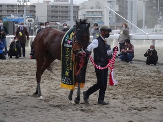 川崎競馬 エンプレス杯