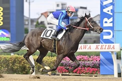 競馬】銘酒「イチローズモルト」と浦和競馬のコラボウイスキー 2026