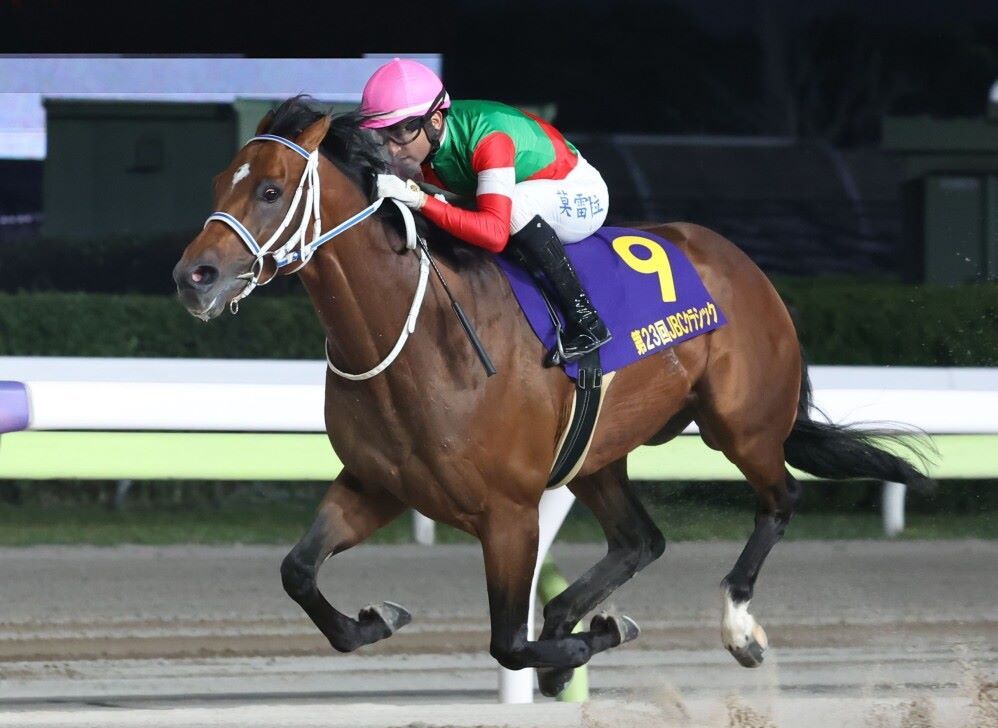 地方競馬】2024年JBC競走の選定馬決定 佐賀、門別で11月4日に開催｜競馬ニュース｜競馬TOP｜西スポレースサイト