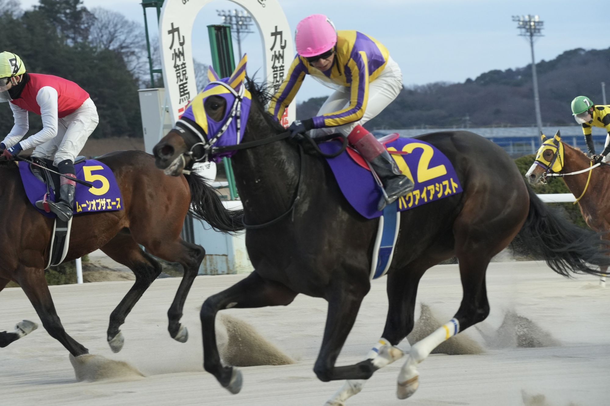 菊花賞、アスクビクターモア優勝｜競馬ニュース｜競馬TOP｜西スポレースサイト