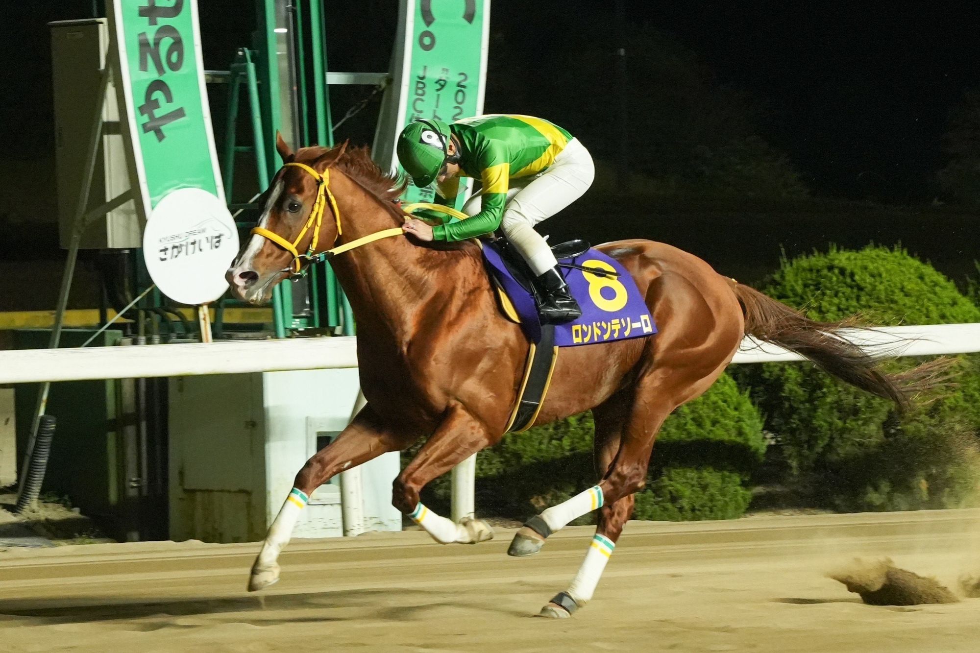 佐賀競馬・第6回ウインターチャンピオン】ロンドンテソーロ重賞