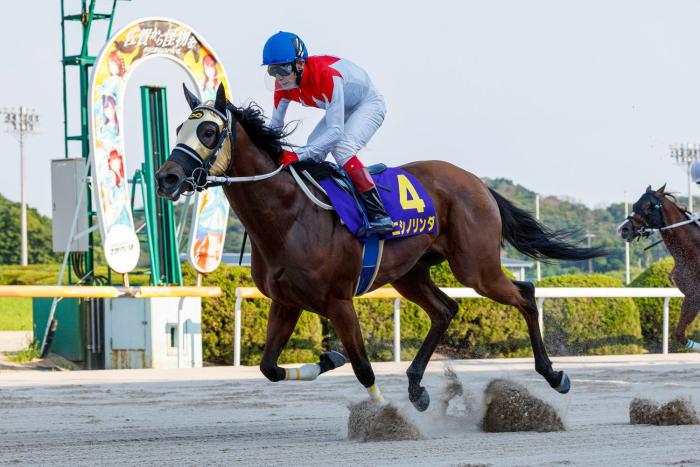 【競馬】　グラスワンダー　当選品　スペシャルカード　045of100　当選通知付 Yahoo!オークション -「グラスワンダー カード」の落札相場